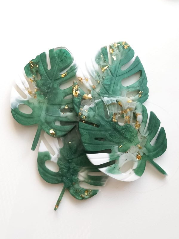 Monstera