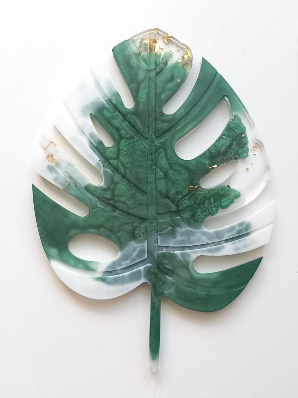 Monstera veľká